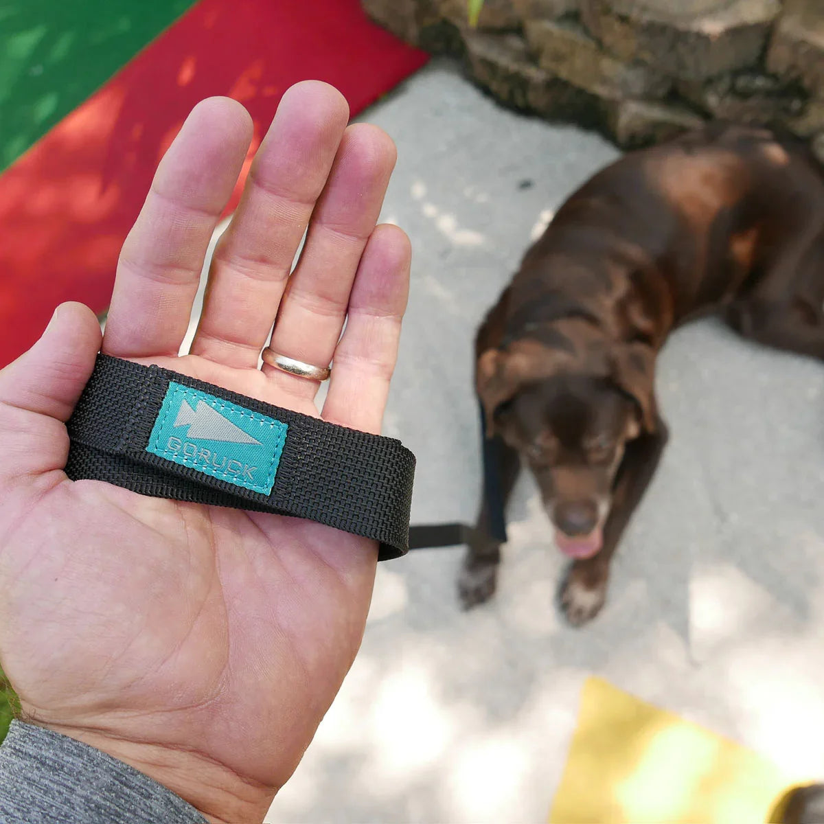 Dog Leash